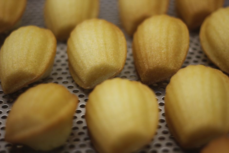 Madeleines : la bosse et le moelleux expliqués